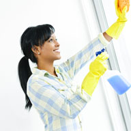 Spring Cleaning Services